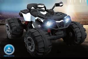 big-quad-24V-js3188-001