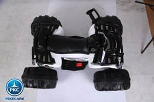 big-quad-24V-js3188-002