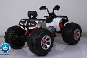 big-quad-24V-js3188-004